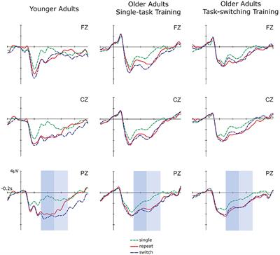 Training and Transfer of Cue Updating in Older Adults Is Limited: Evidence From Behavioral and Neuronal Data